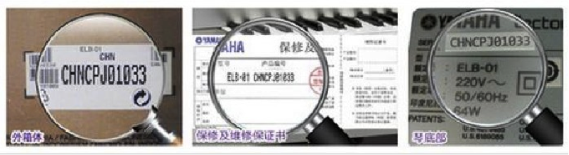 紧急声明：谨防AG旗舰厅电子琴假冒伪劣商品 